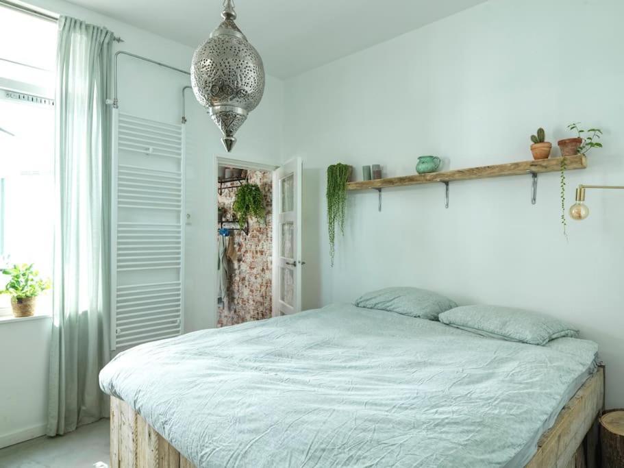 Beachhome Scheveningen Apartment The Hague