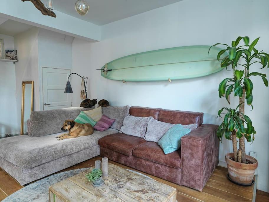 Apartment Beachhome Scheveningen The Hague